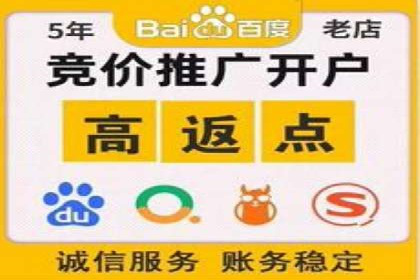 某电商平台信息流广告的精准推广策略